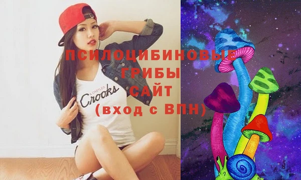 ALPHA PVP Алексин